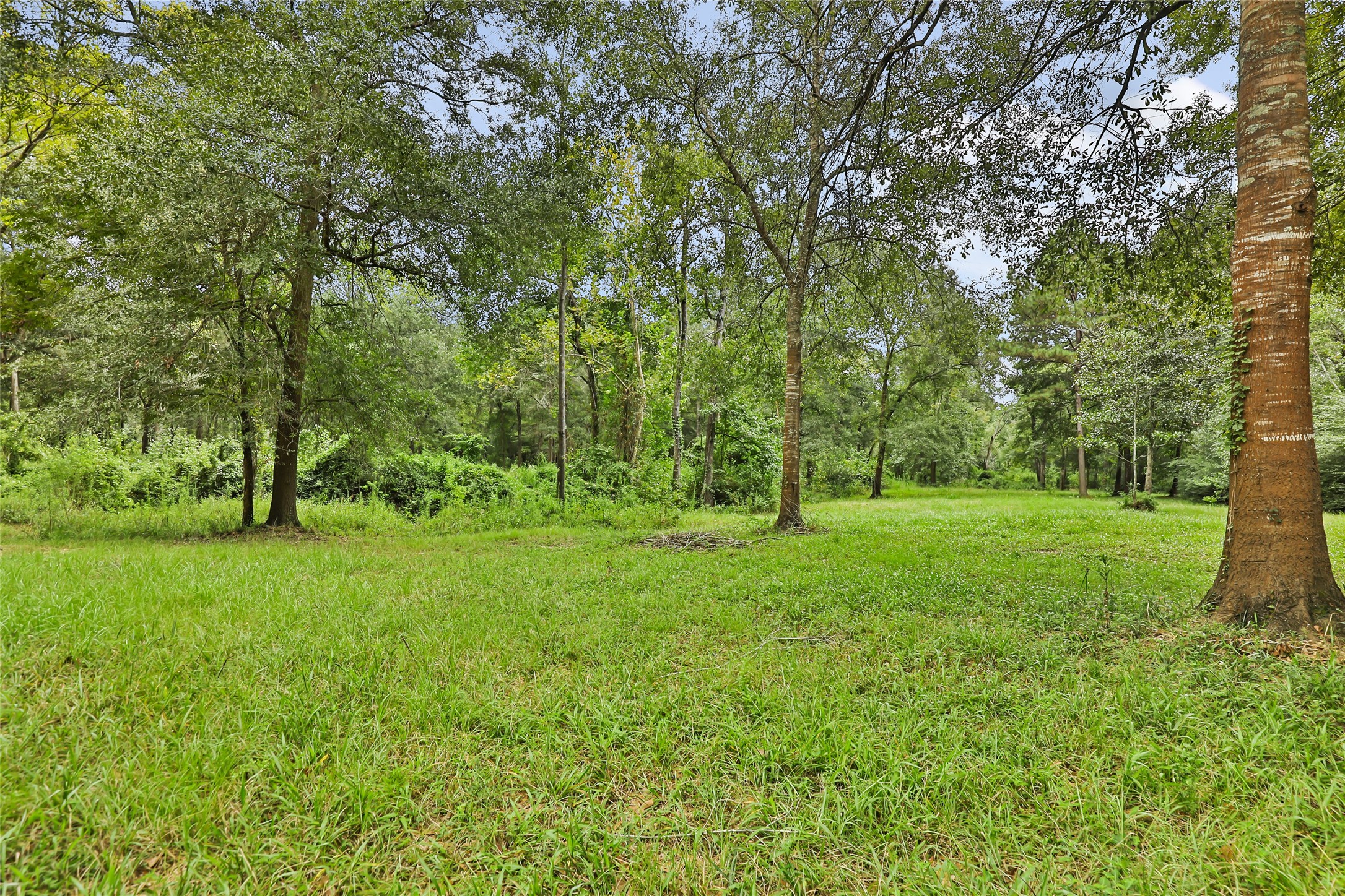 29430 East Irvin Road Huffman, TX 77336 - Photo 23 of 49 Gallery Image 23