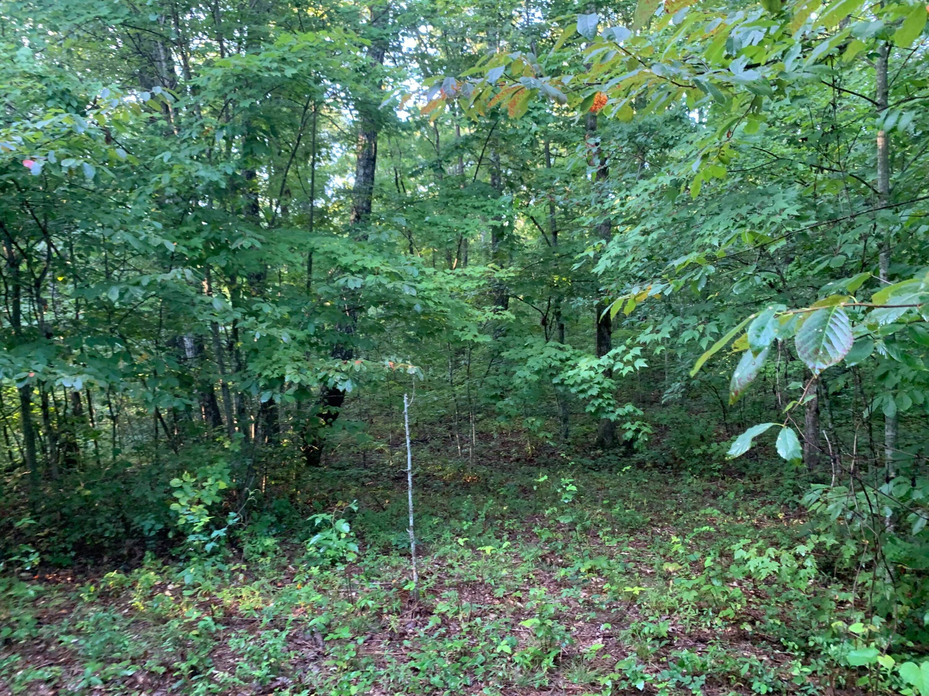 378 Powerline Road, Unit 486 Dunlap, TN 37327 - Photo 15 of 15 24