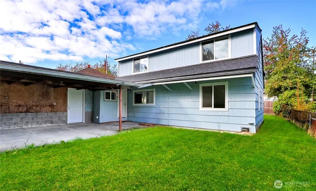 a view of a backyard with plants and large tree