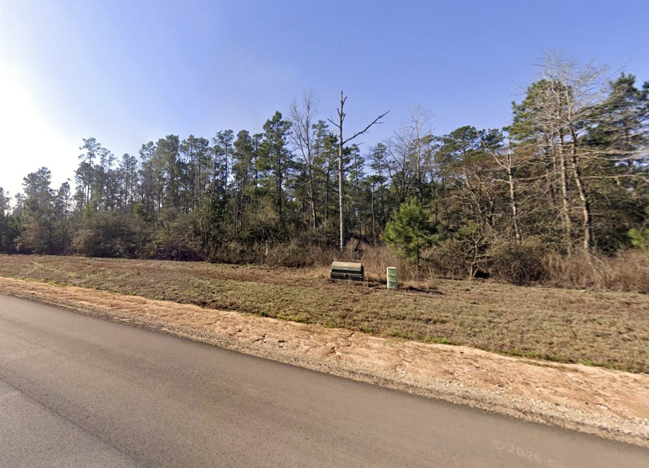 11622 Grand N Road Willis, TX 77378 - Photo 4 of 18 a view of a yard with a house