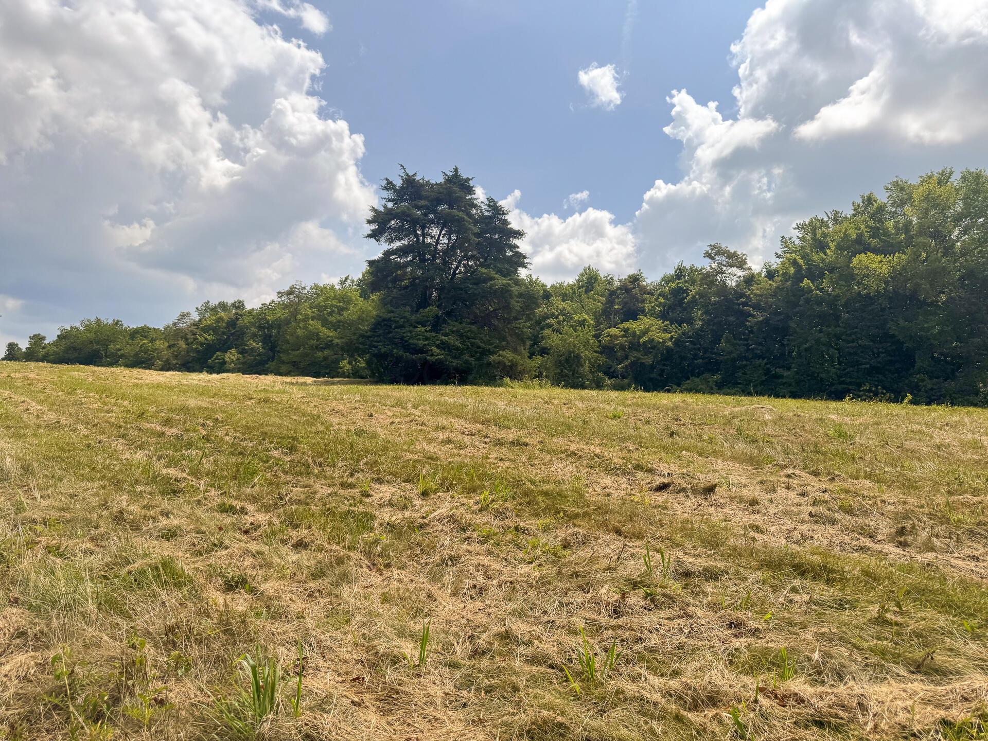 272 Golf Course Road, Unit TRACT 8 SKYLINEACRES) Waverly, OH 45690 - Photo 20 of 40 CT-20
