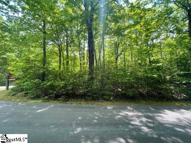 0 Birchbend Road, Unit LOT 318 Cleveland, SC 29635 - Photo 1 of 10 Gallery Image 1