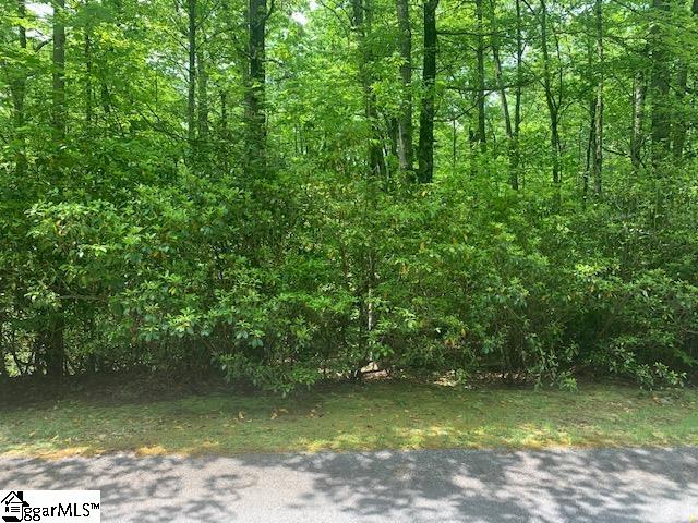 0 Birchbend Road, Unit LOT 318 Cleveland, SC 29635 - Photo 2 of 10 Gallery Image 2