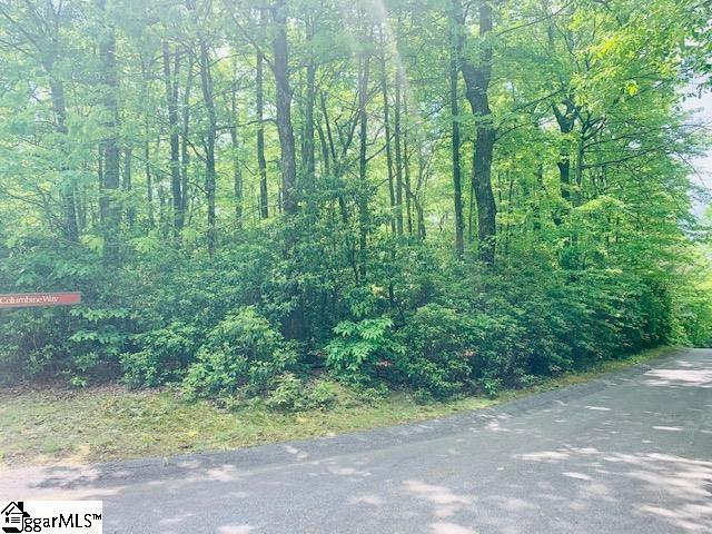 0 Birchbend Road, Unit LOT 318 Cleveland, SC 29635 - Photo 3 of 10 Gallery Image 3