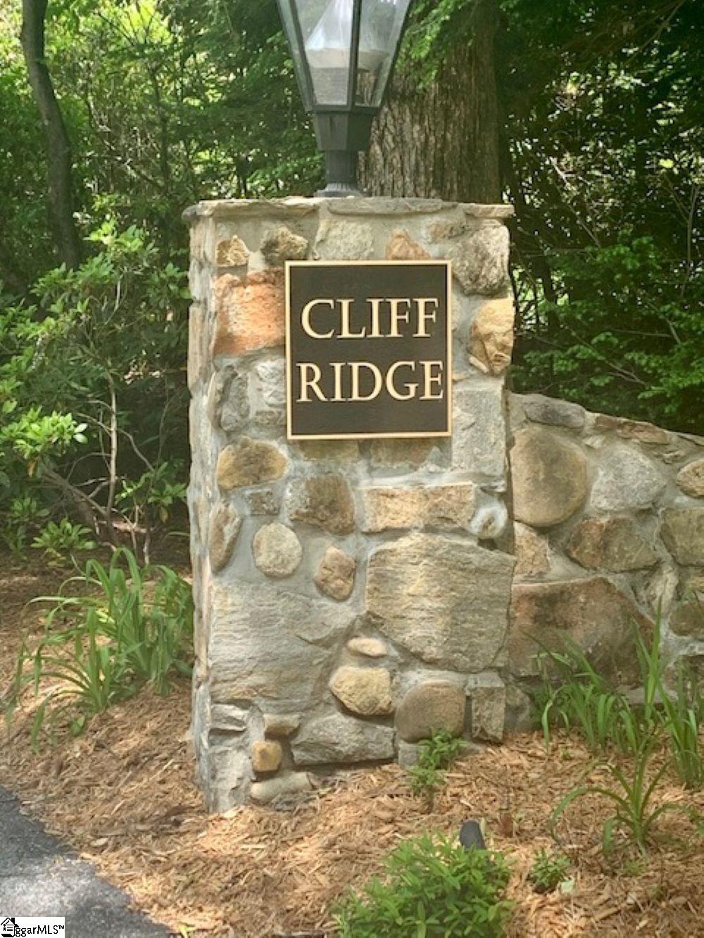 0 Birchbend Road, Unit LOT 318 Cleveland, SC 29635 - Photo 4 of 10 Gallery Image 4