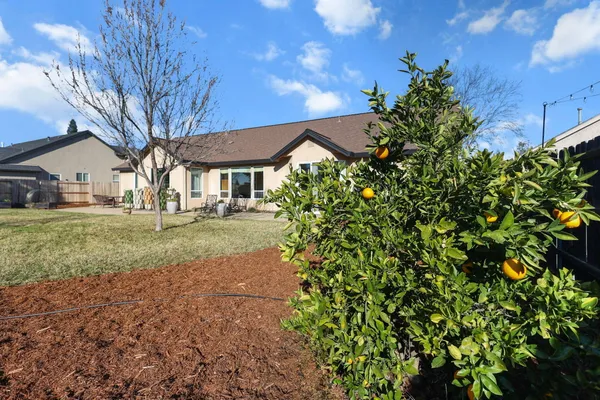 a view of a backyard