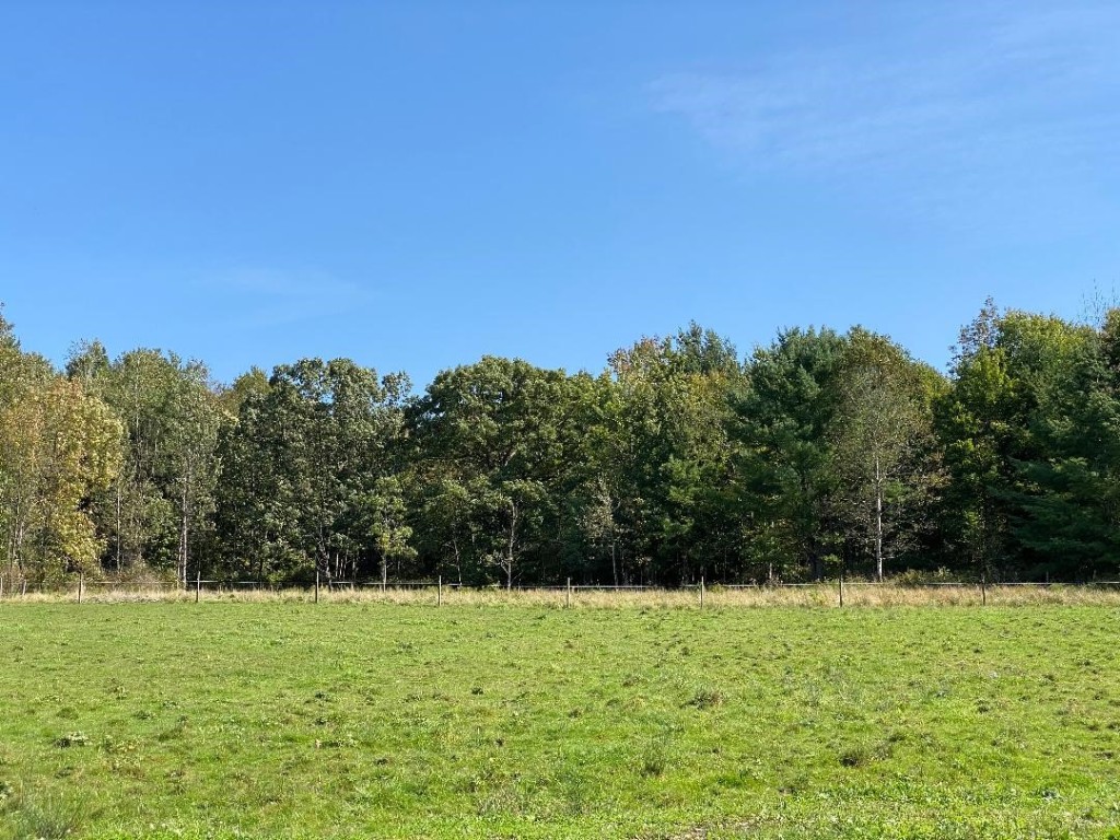 0 Hotchkiss Road Greene, NY 13778 - Photo 24 of 25 Gallery Image 24