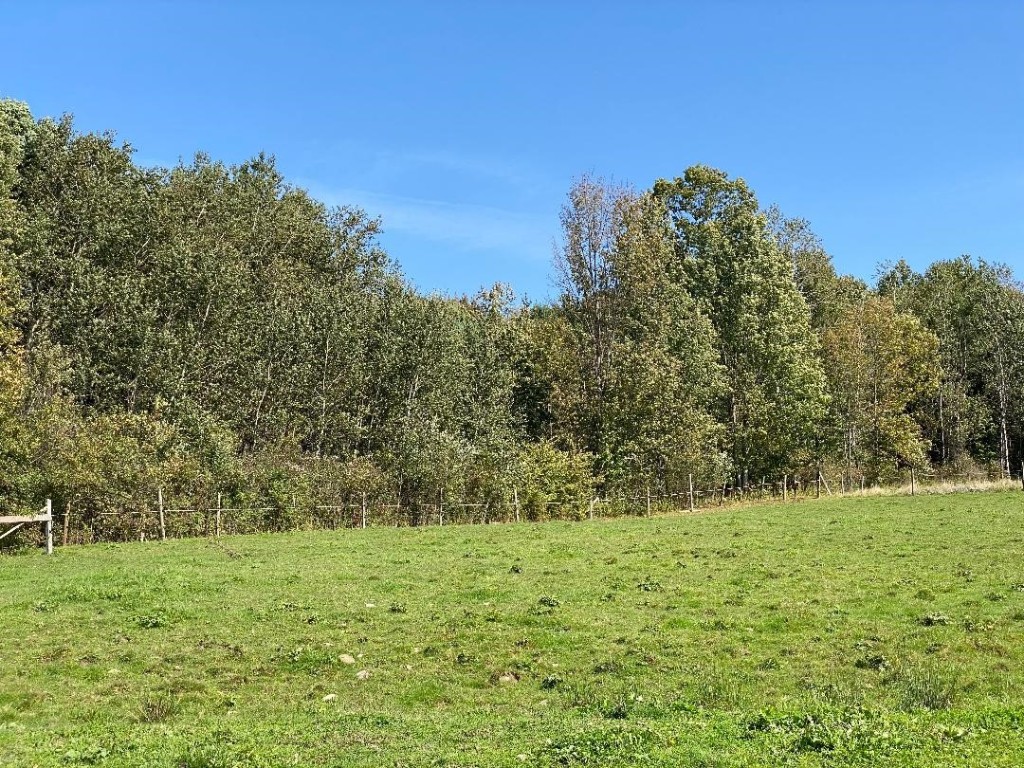 0 Hotchkiss Road Greene, NY 13778 - Photo 25 of 25 Gallery Image 25