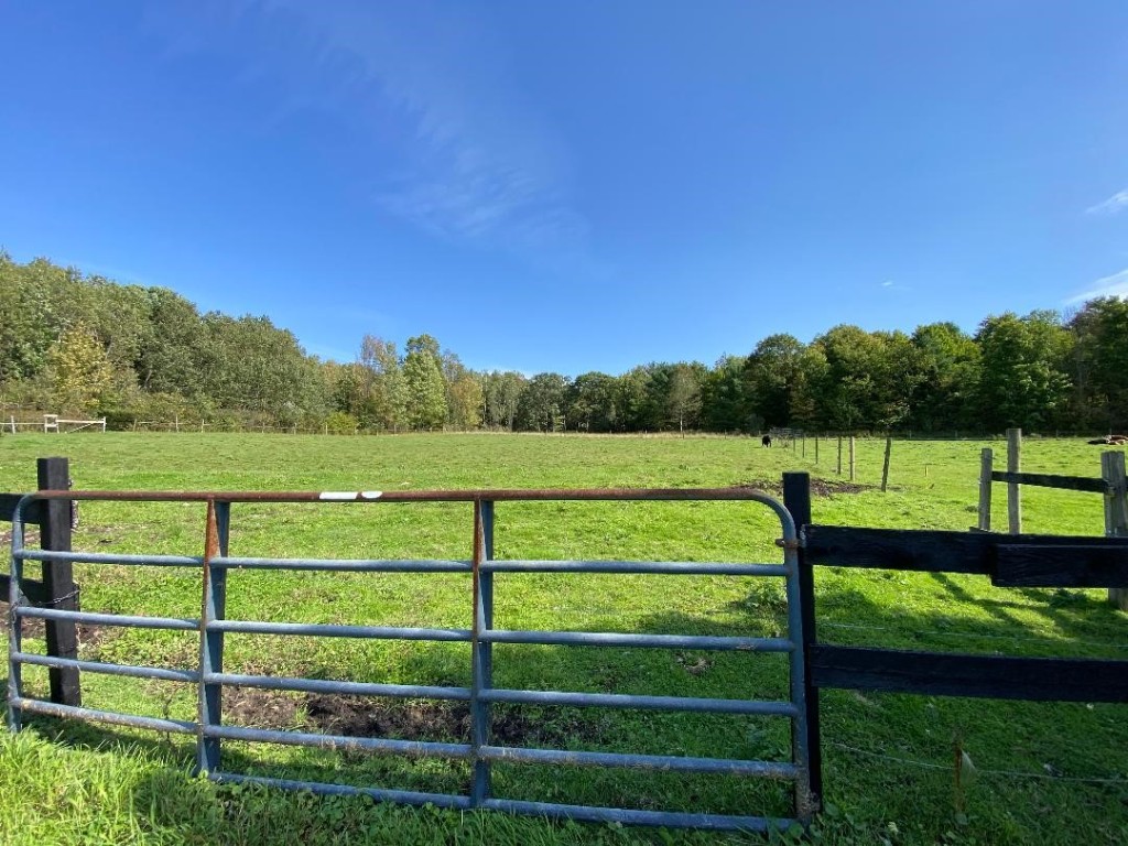 0 Hotchkiss Road Greene, NY 13778 - Photo 6 of 25 Gallery Image 6