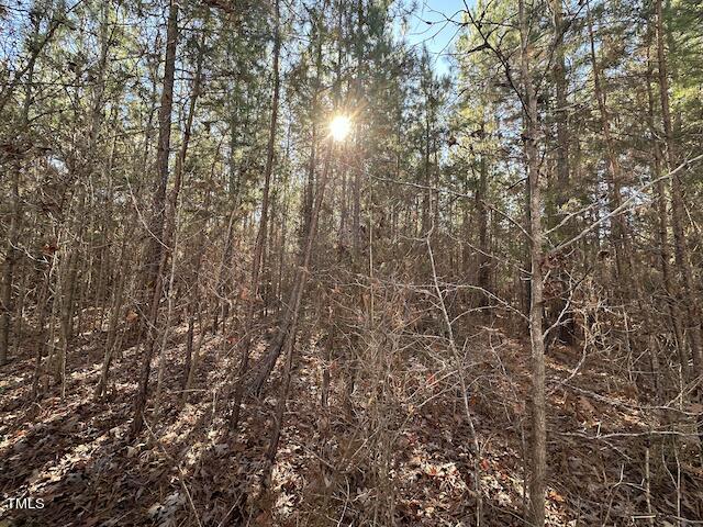 Lot 1 Range Road Rougemont, NC 27572 - Photo 1 of 5 IMG_1757