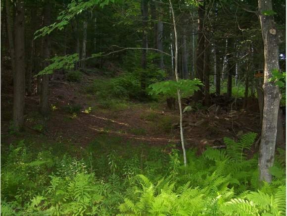 158 Valley Road Sullivan, NH 03445 - Photo 1 of 1