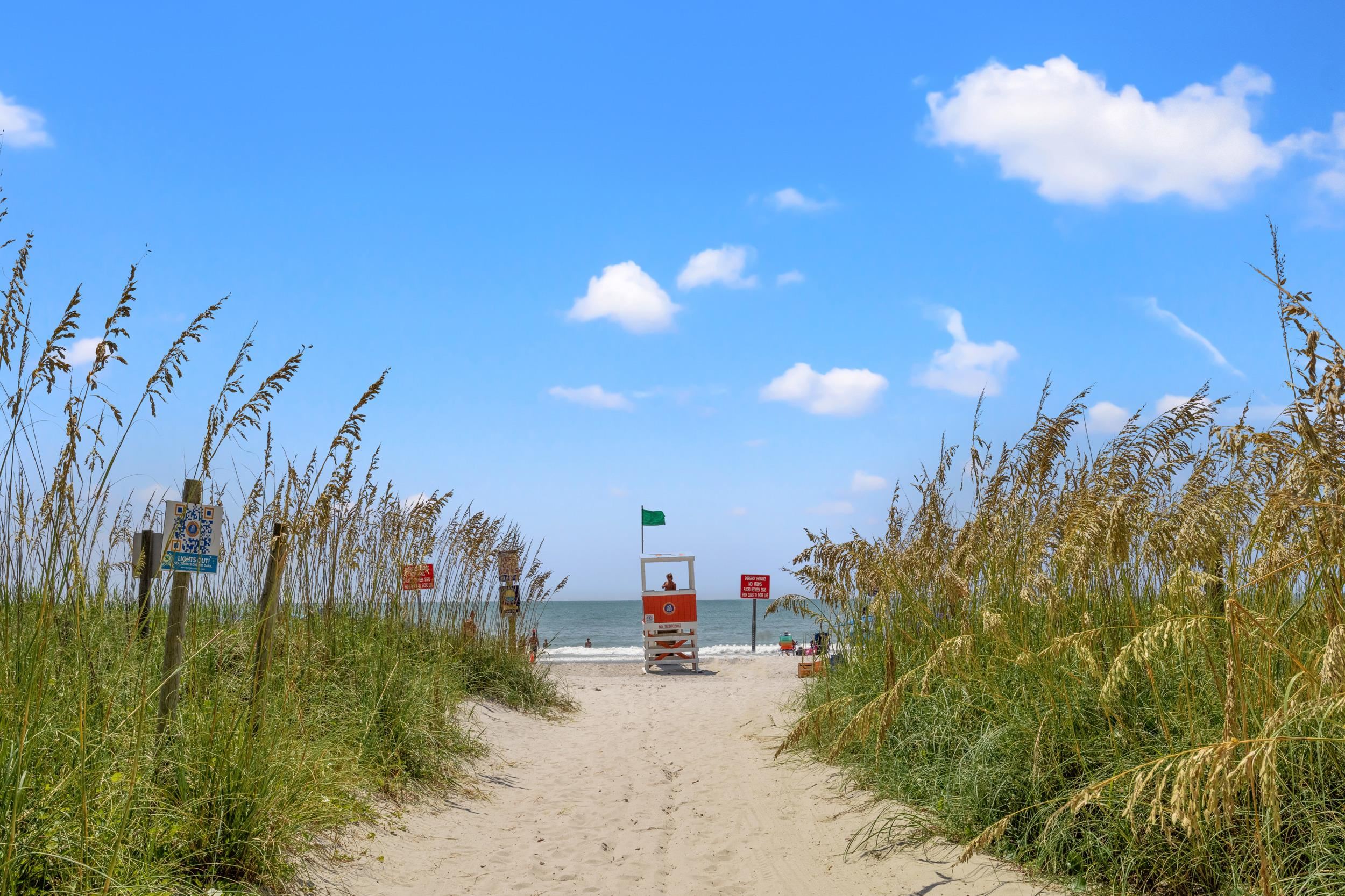 210 Stillbrook Drive Longs, SC 29568 - Photo 37 of 38