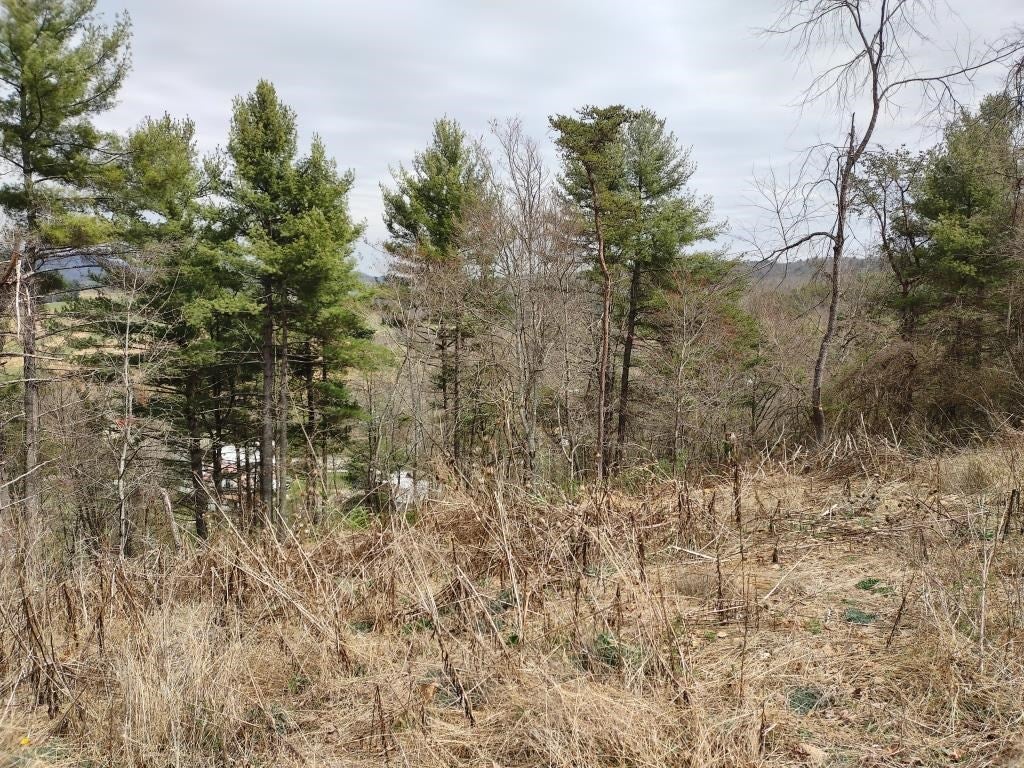 250 Lampkins Road, Unit AE Max Meadows, VA 24360 - Photo 6 of 12 Gallery Image 6