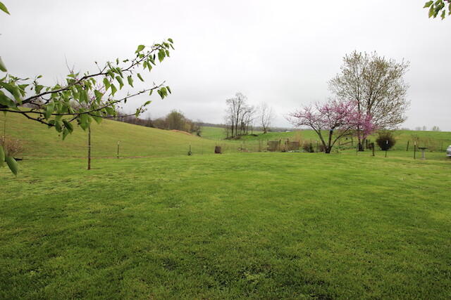 155 Eugene Harness Road Science Hill, KY 42553 - Photo 65 of 101 IMG_5633