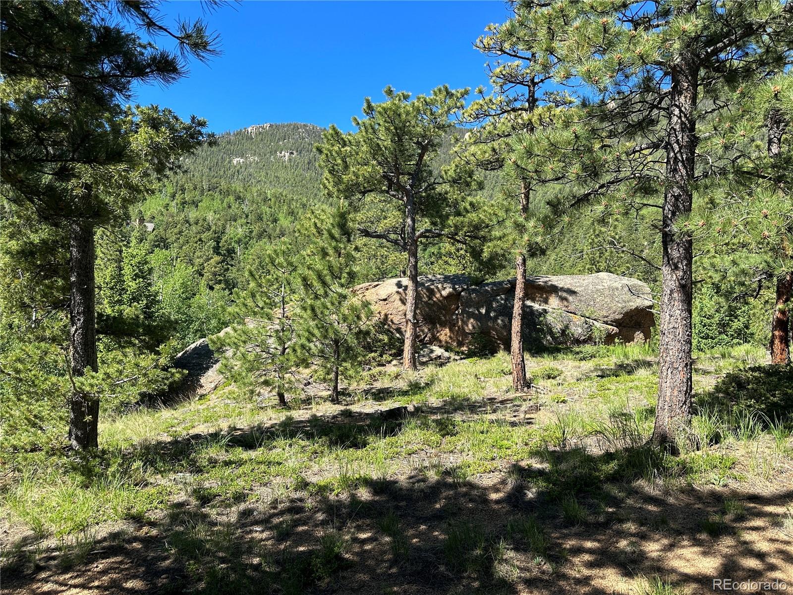 235 Waterfall Road Manitou Springs, CO 80829 - Photo 14 of 27 Gallery Image 14