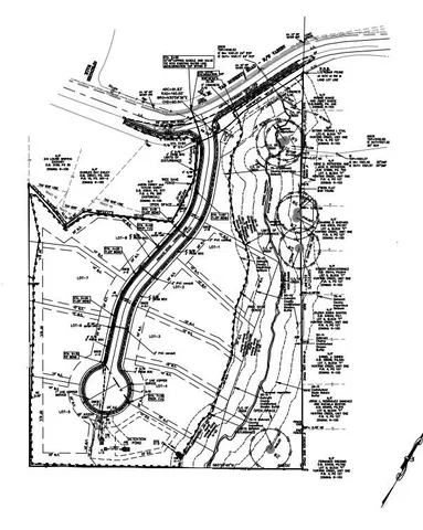 a black and white photo of a white house