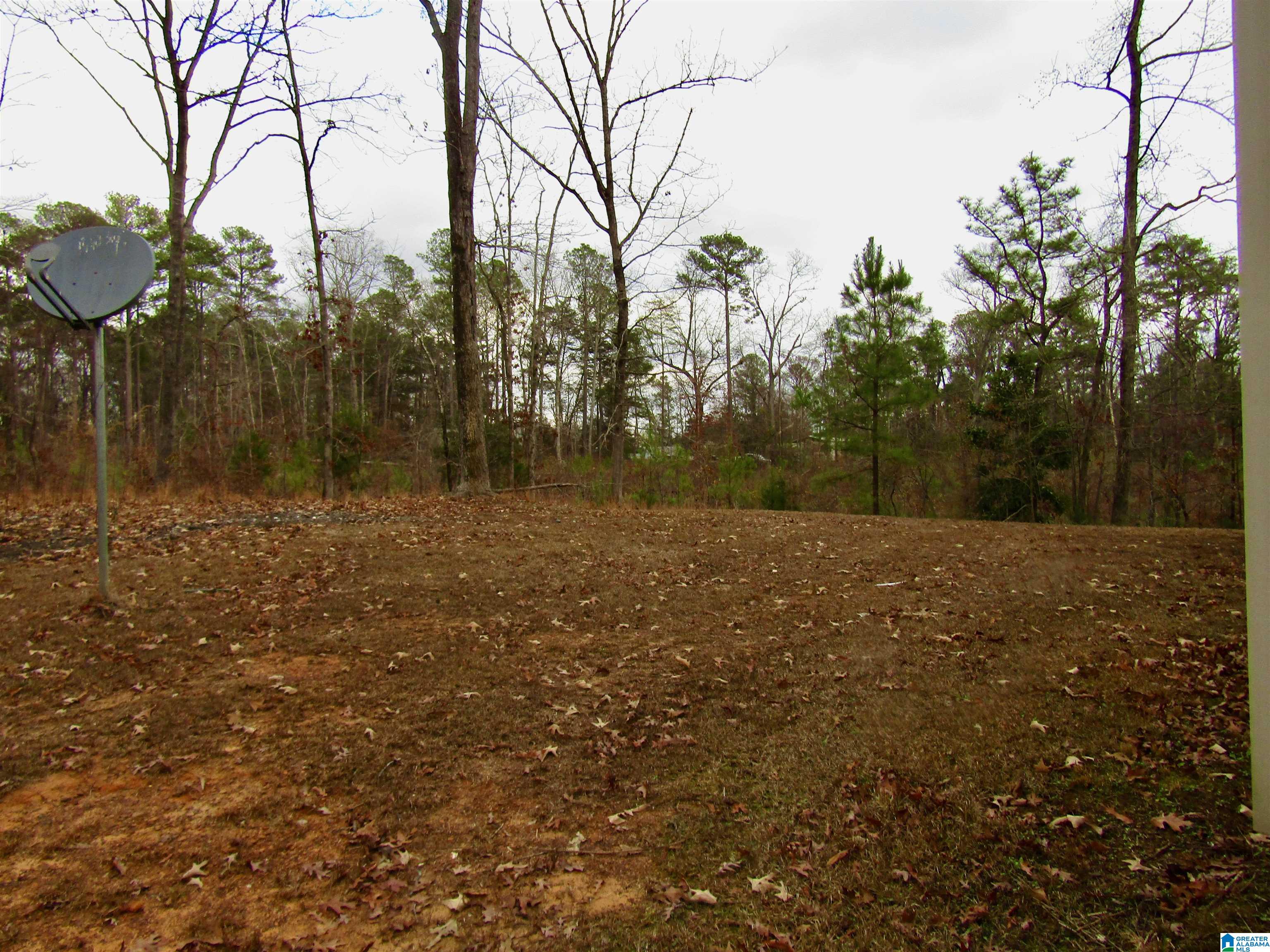 1518 Frog Level Road West Blocton, AL 35184 - Photo 2 of 20