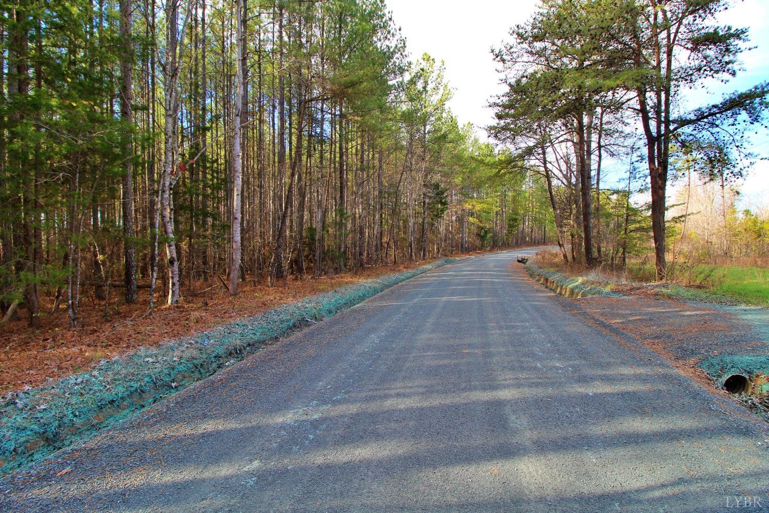 16 Cub Creek Road Appomattox, VA 24522 - Photo 2 of 2 Gallery Image 2