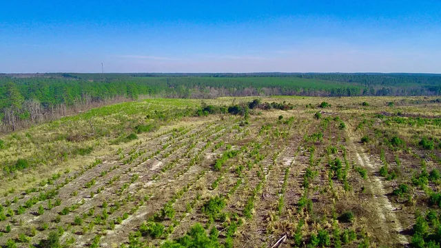 $174,000 | 0 Three Notch Road, Batesburg, SC 29006