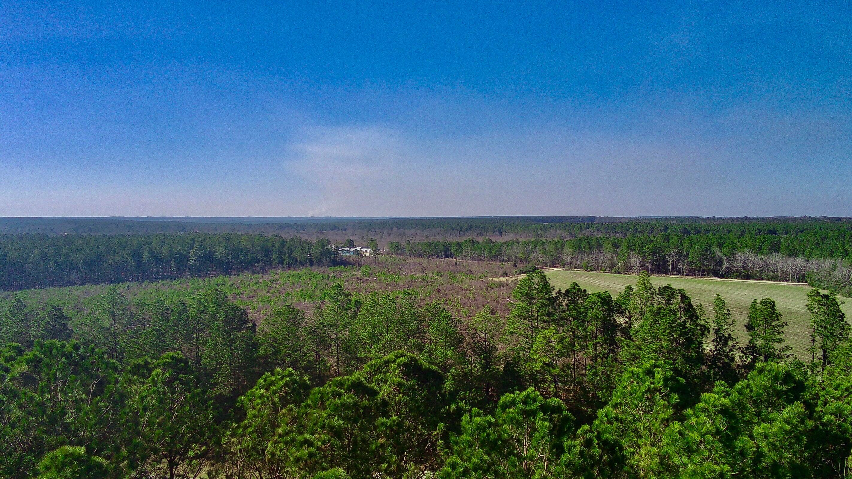 0 Three Notch Road Batesburg, SC 29006 - Photo 4 of 10 20250228143319167723000000-o