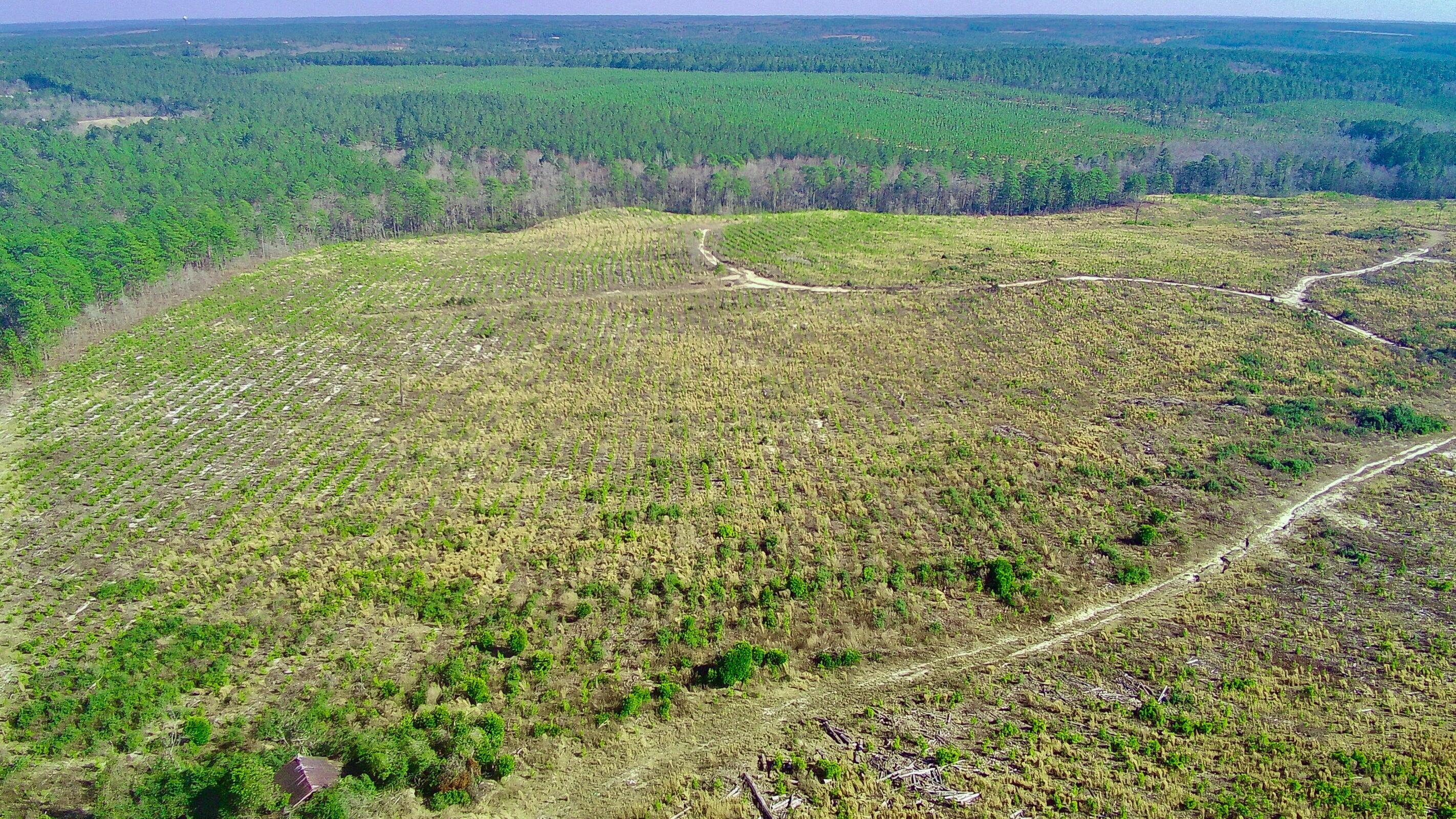 0 Three Notch Road Batesburg, SC 29006 - Photo 5 of 10 20250228143305218299000000-o