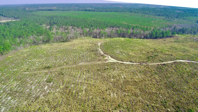 $174,000 | 0 Three Notch Road, Batesburg, SC 29006