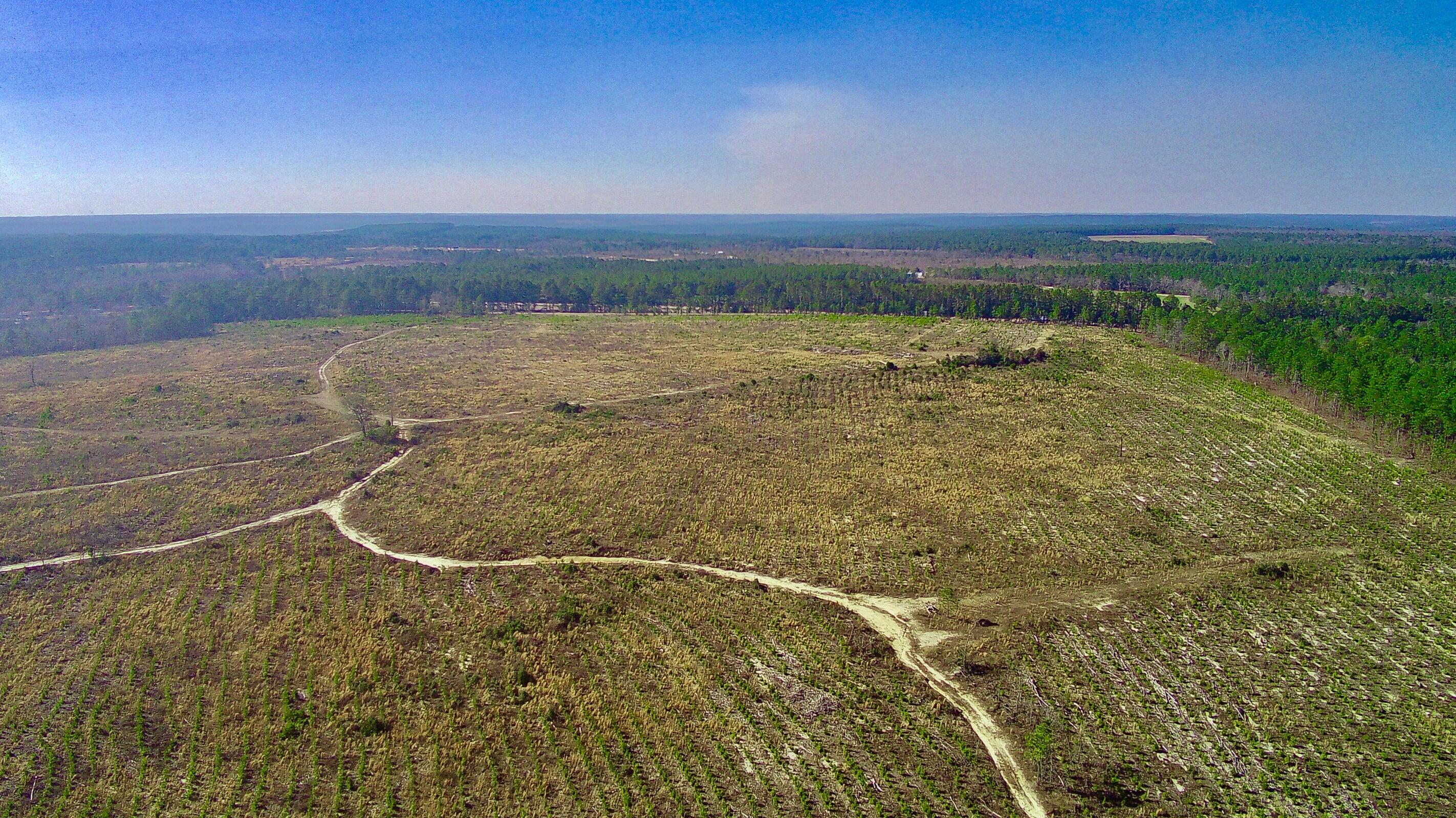 0 Three Notch Road Batesburg, SC 29006 - Photo 7 of 10 20250228143311755268000000-o