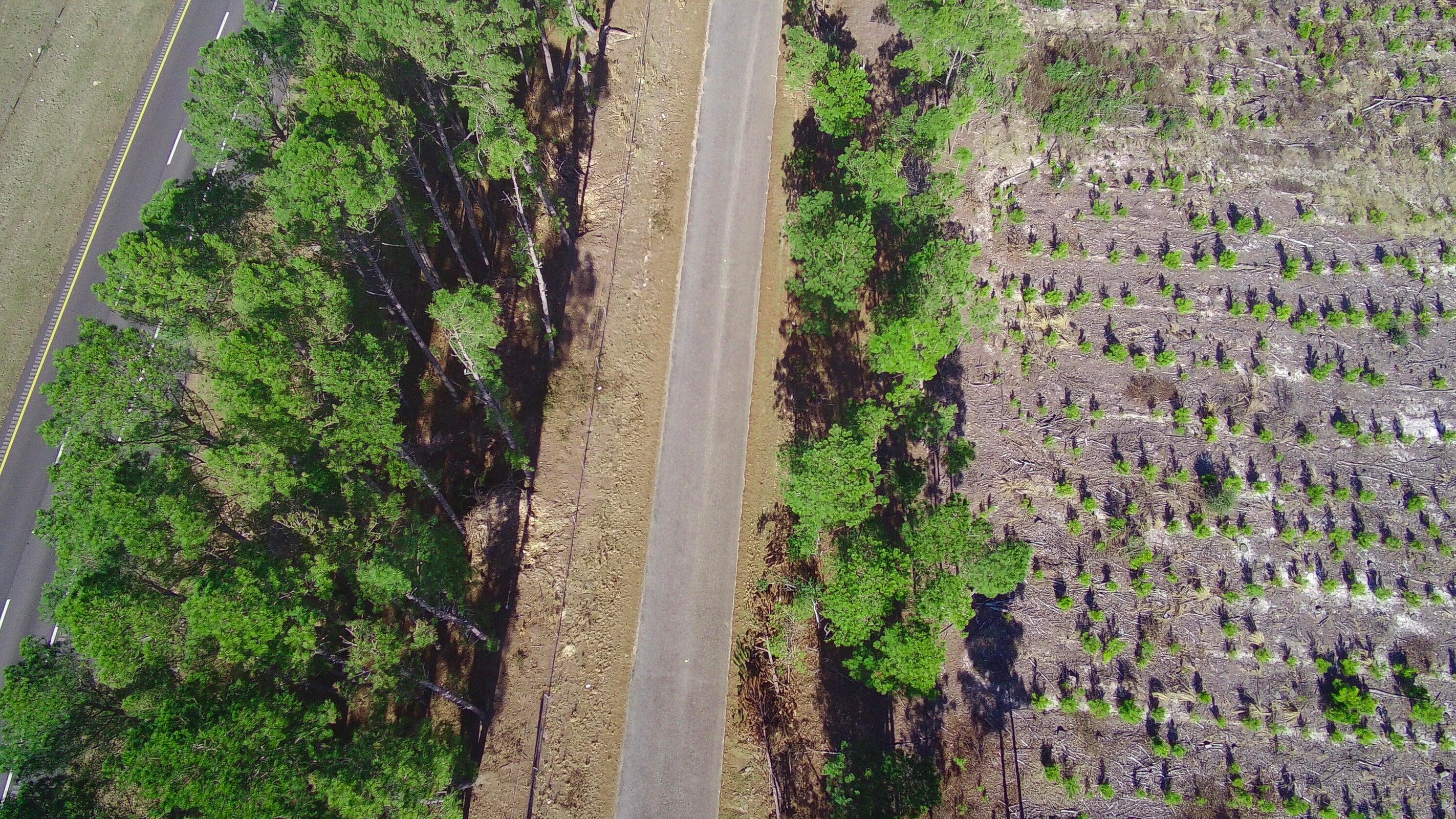 0 Three Notch Road Batesburg, SC 29006 - Photo 9 of 10 20250228143316666974000000-o