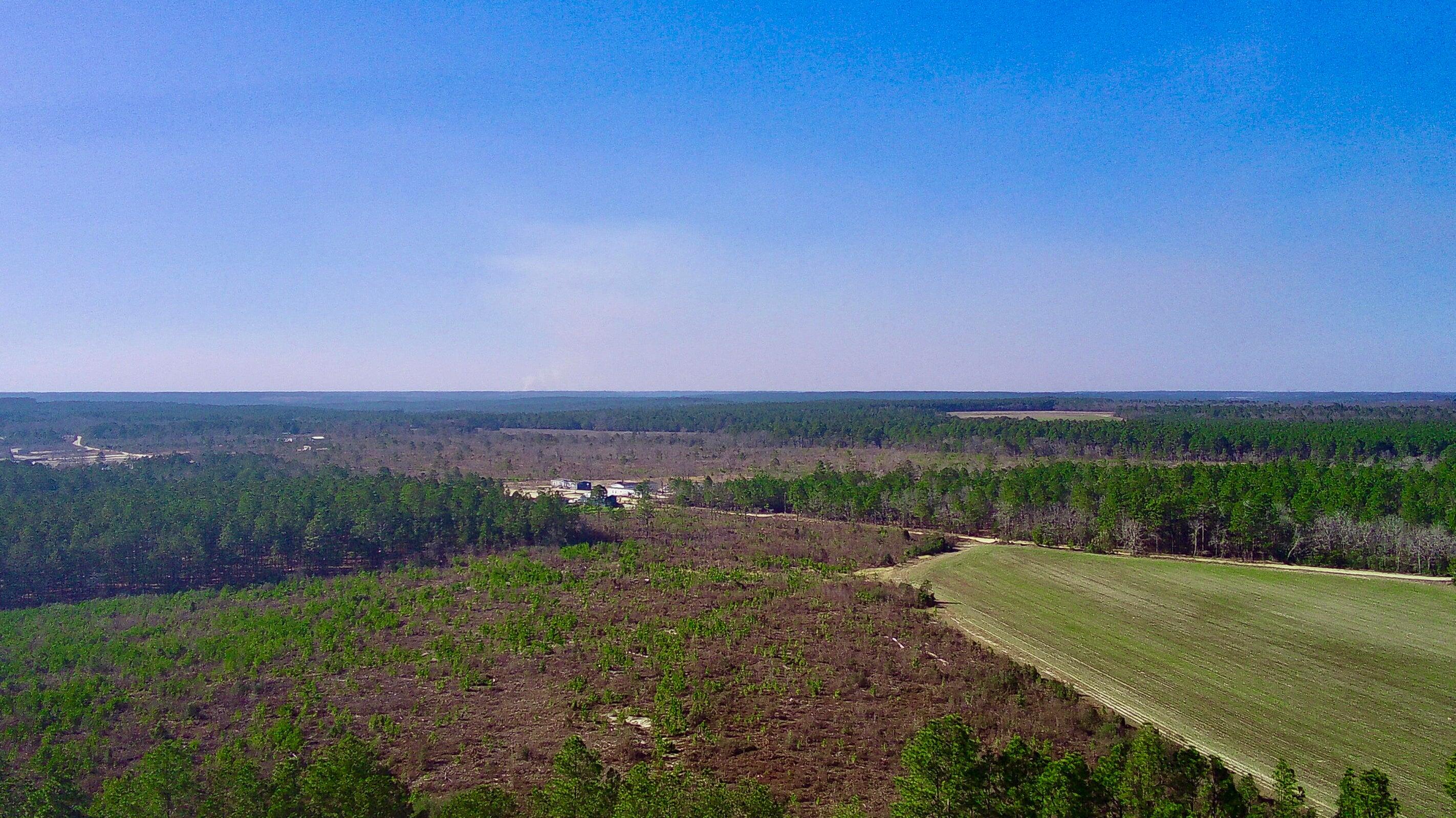 0 Three Notch Road Batesburg, SC 29006 - Photo 10 of 10 20250228143321375600000000-o