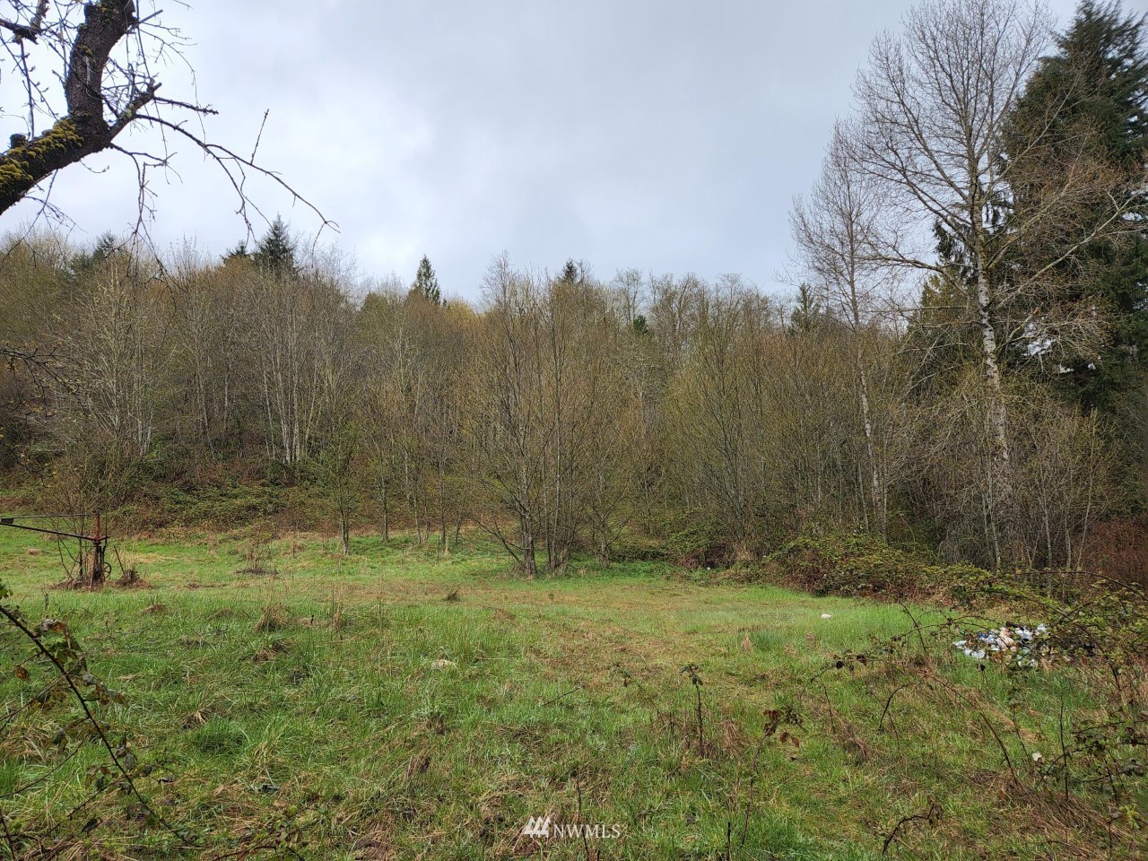 55 Stillson Road McCleary, WA 98557 - Photo 1 of 14 Gallery Image 1