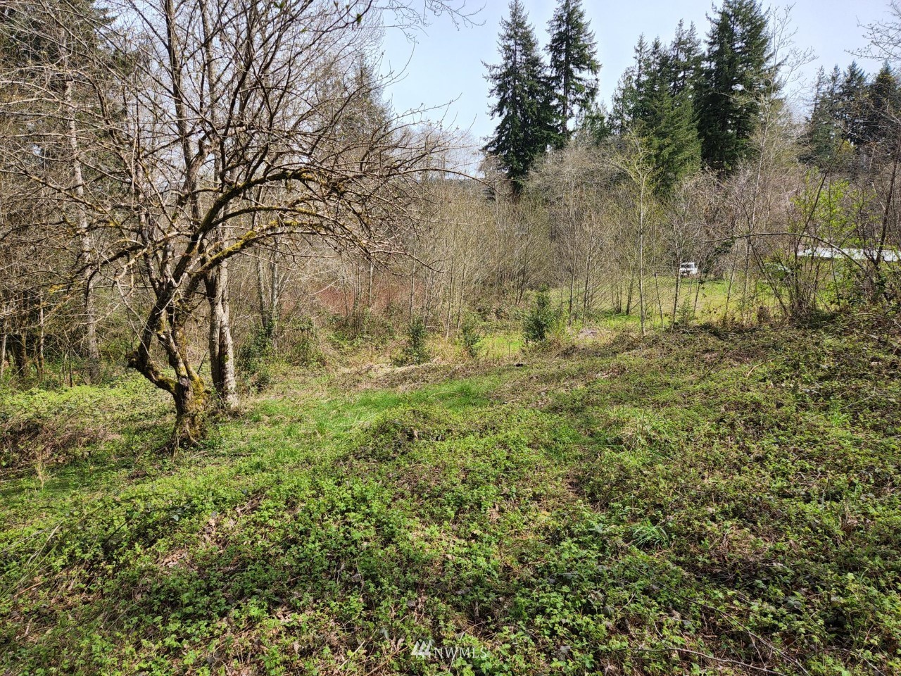 55 Stillson Road McCleary, WA 98557 - Photo 4 of 14 Gallery Image 4