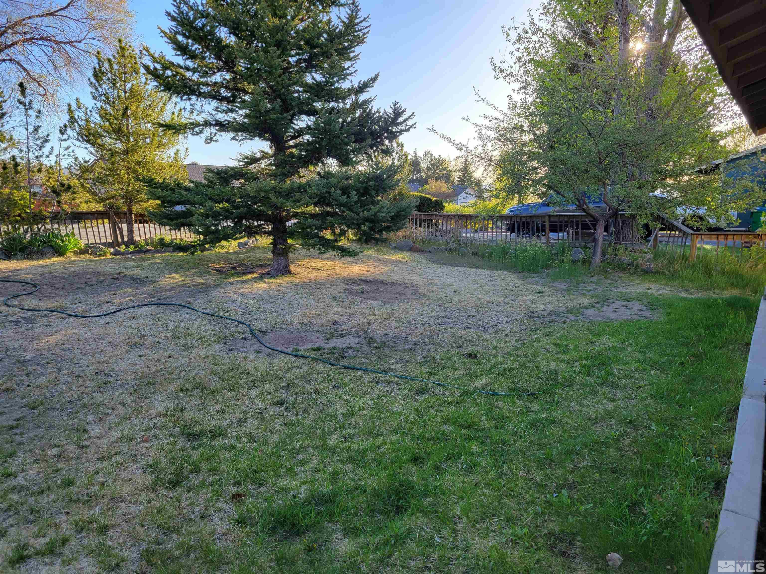 10405 Bounder Lane Reno, NV 89508 - Photo 3 of 16 a view of a yard with a tree