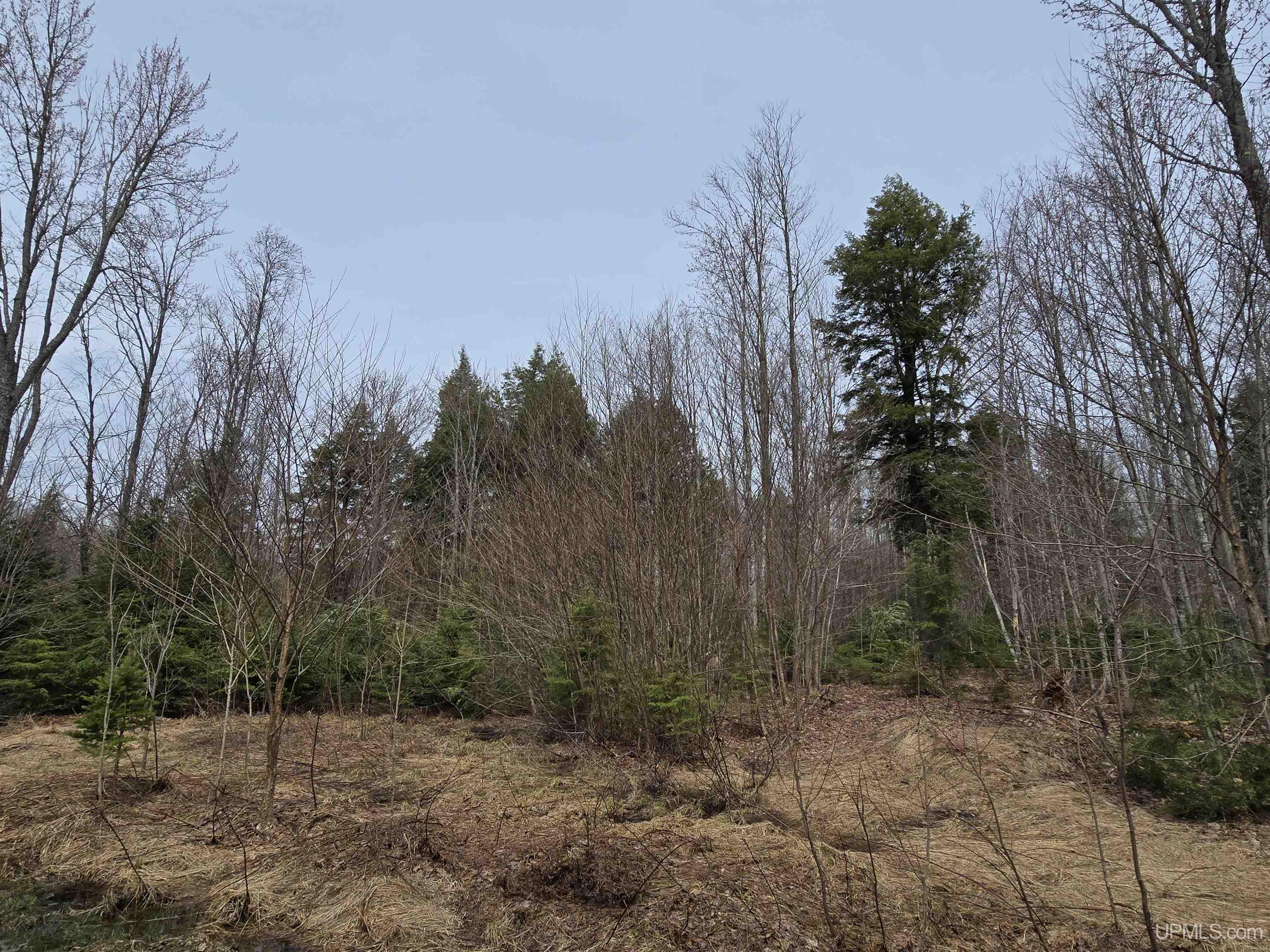 Tbd Orange Road, Unit TBD BLUE ROAD Pelkie, MI 49952 - Photo 42 of 49