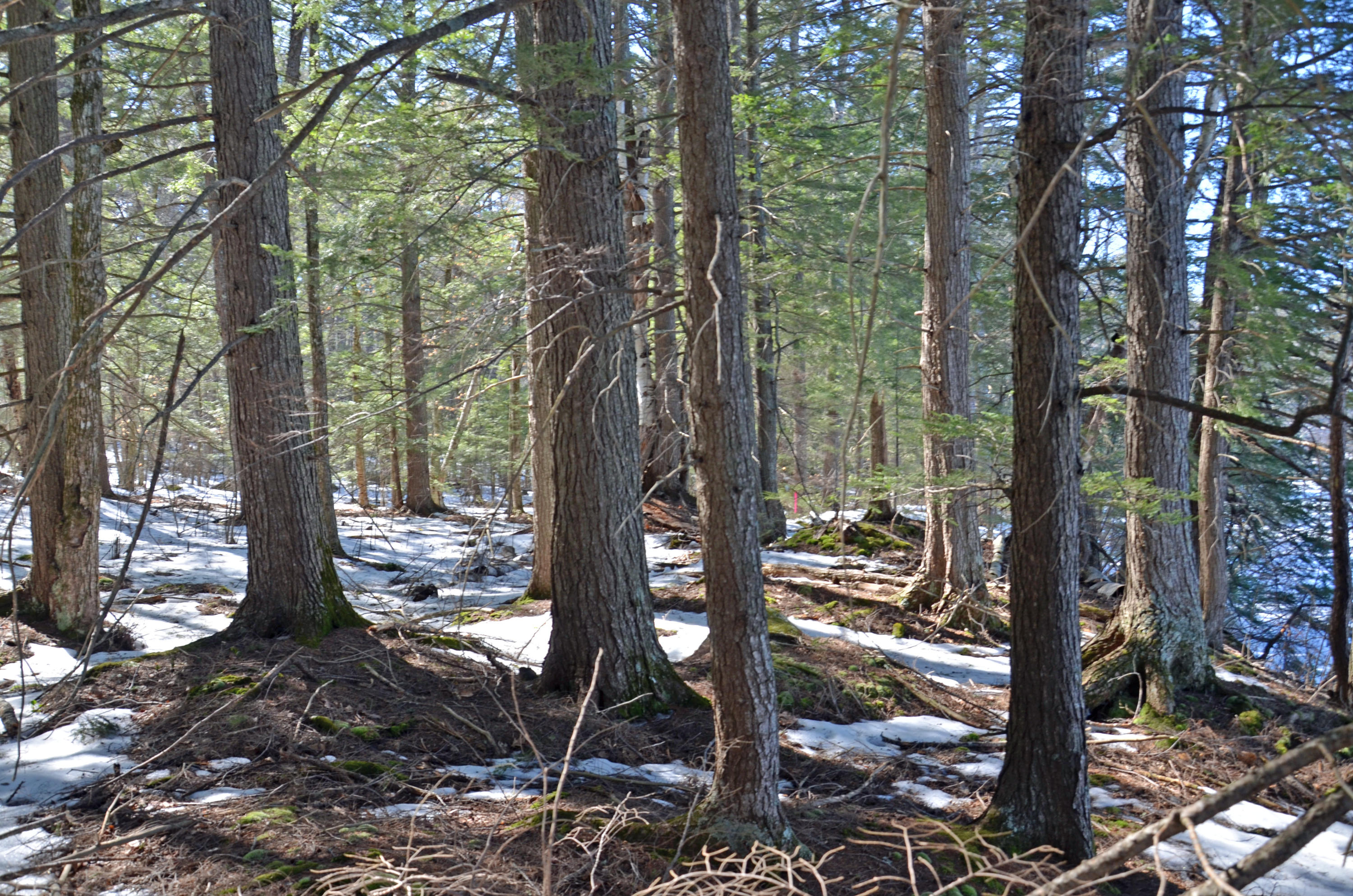 153 Temple Hill Road Harrison, ME 04040 - Photo 32 of 33 DSC_9812_edited-1