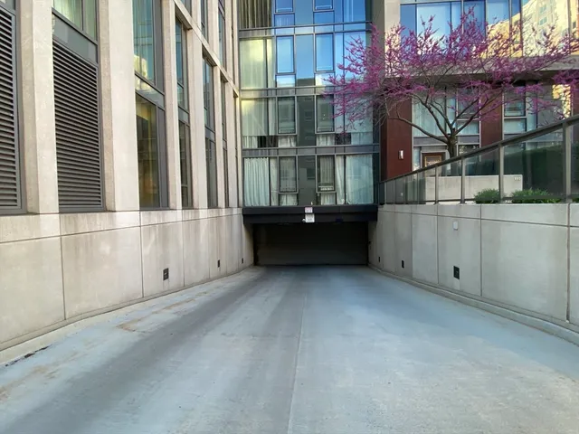 a view of a park with large trees