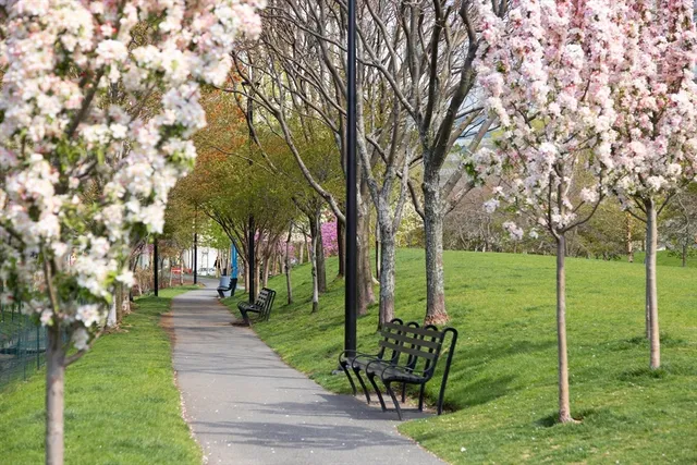 a view of a cars parked in front of a building
