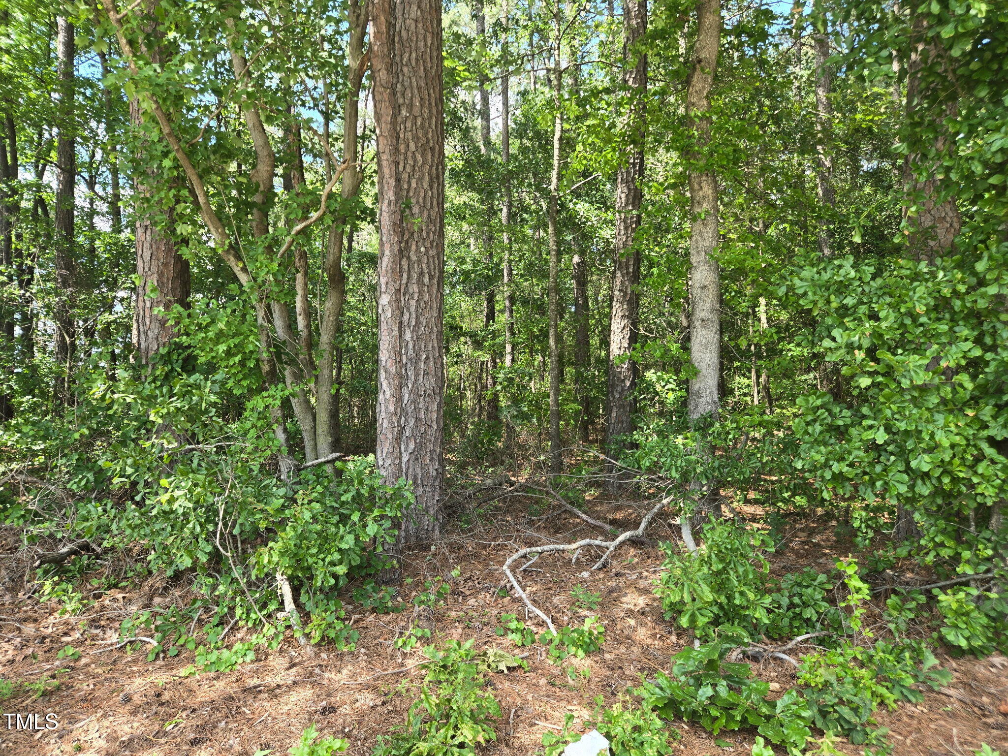 0 Lee-Johnson Road Dunn, NC 28334 - Photo 11 of 15 1000041250