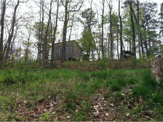 3981 Pleasant Ridge Road Marietta, OH 45750 - Photo 3 of 13