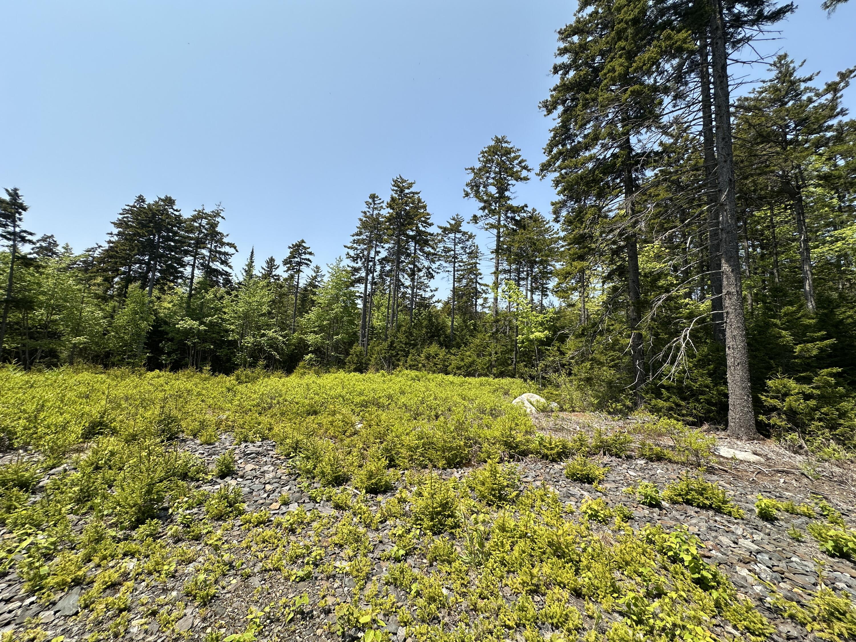 Lot 5 Waymouth Road Tenants Harbor, ME 04860 - Photo 41 of 56 June 2025