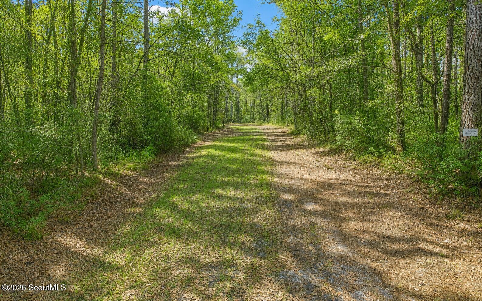 2265 Young Man Road Northeast Townsend, GA 31331 - Photo 20 of 21 2265 interior