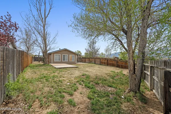 a view of backyard with tree