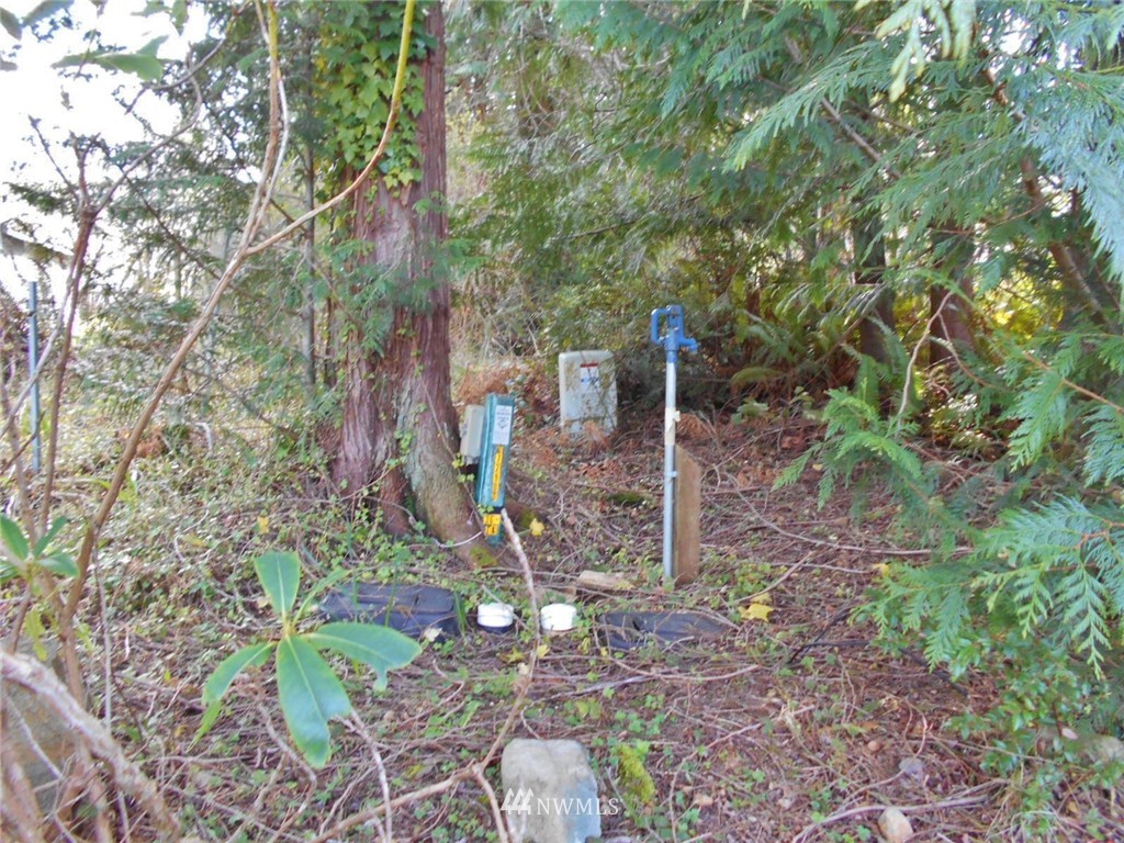 761 Rhododendron Lane Brinnon, WA 98320 - Photo 11 of 21 Gallery Image 11