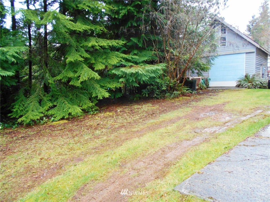 761 Rhododendron Lane Brinnon, WA 98320 - Photo 3 of 21 Gallery Image 3