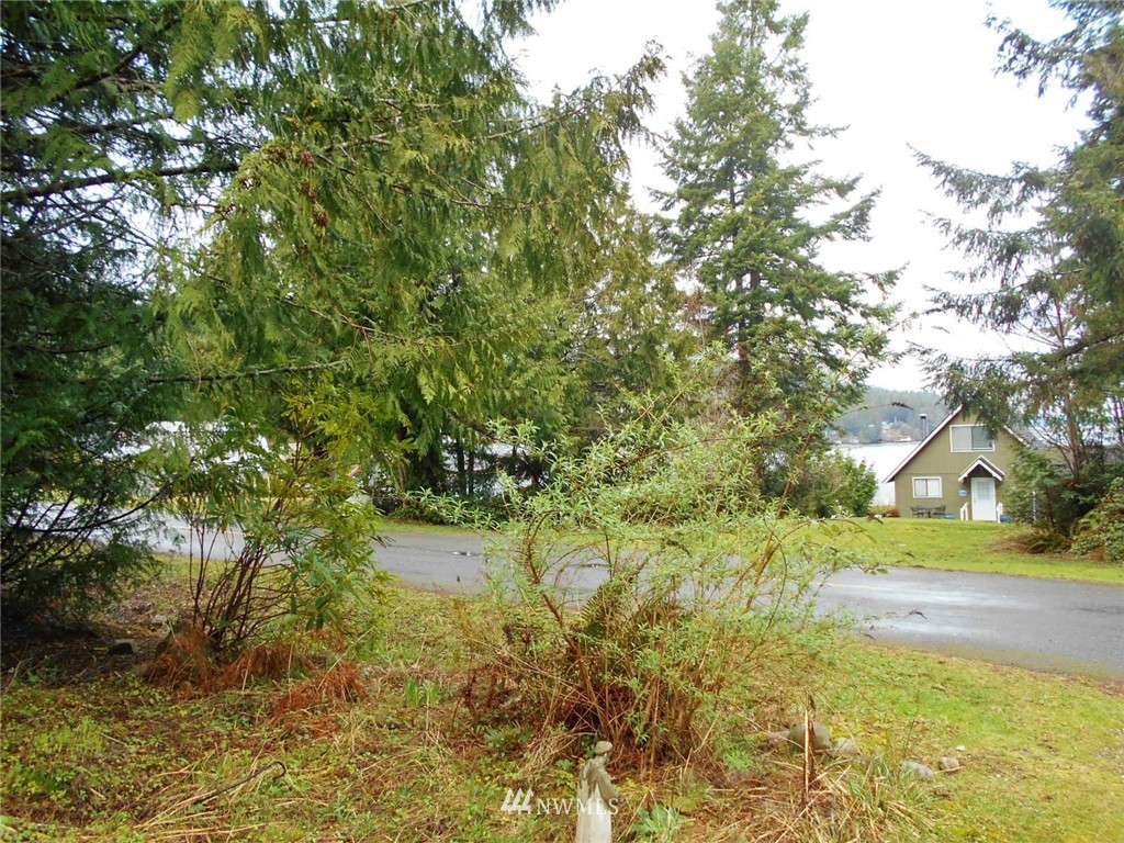 761 Rhododendron Lane Brinnon, WA 98320 - Photo 7 of 21 Gallery Image 7