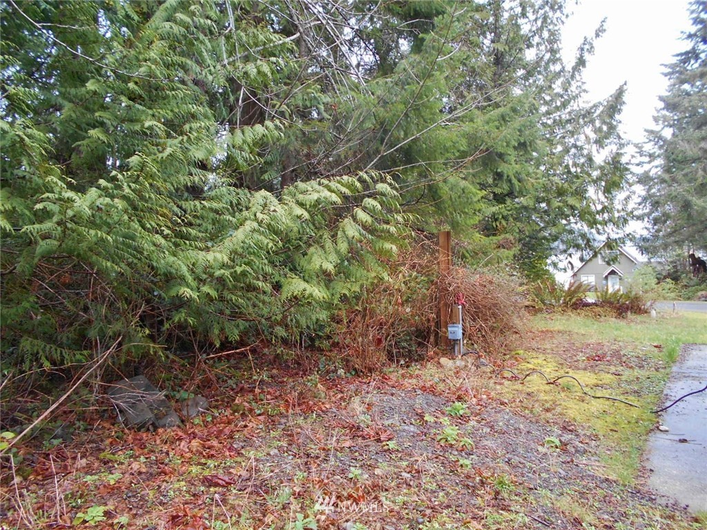 761 Rhododendron Lane Brinnon, WA 98320 - Photo 8 of 21 Gallery Image 8