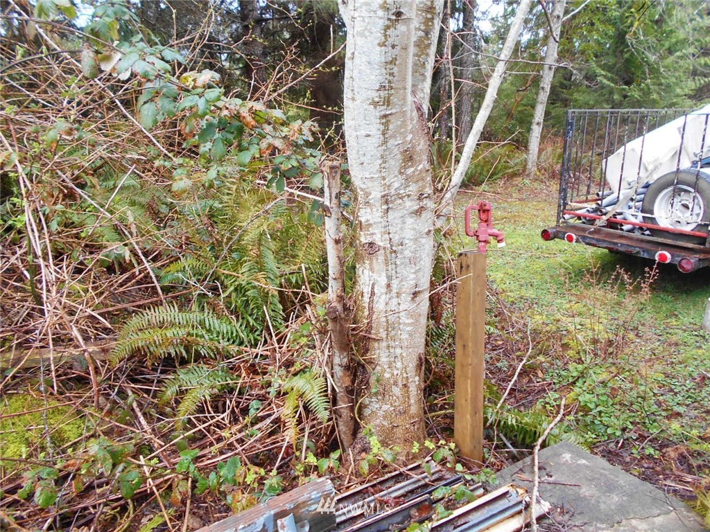 761 Rhododendron Lane Brinnon, WA 98320 - Photo 9 of 21 Gallery Image 9