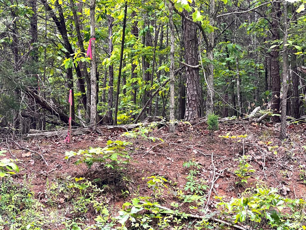 Old Tower Hill Road Dillwyn, VA 23936 - Photo 1 of 8 Gallery Image 1