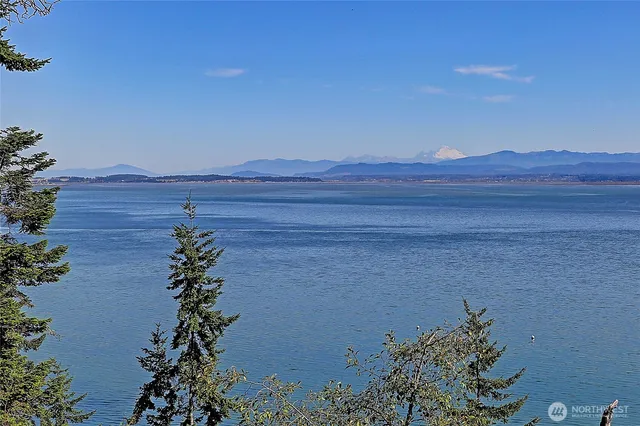 a view of a flower place with a house