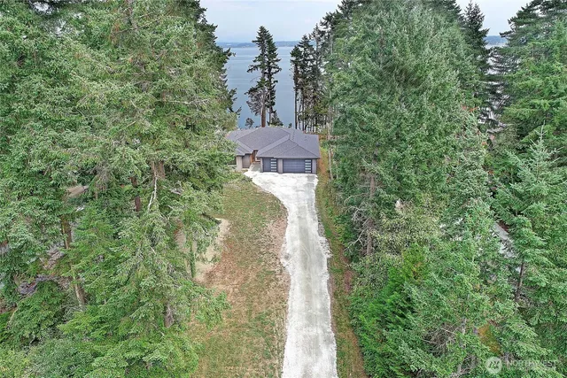 a view of a trees in a yard