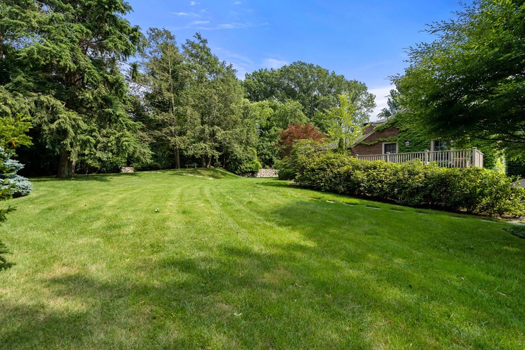 24 Green Hill Road Brookline, MA 02445 - Photo 6 of 25 Gallery Image 6